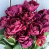 Heirloom Roses Alison Bradley Sale
