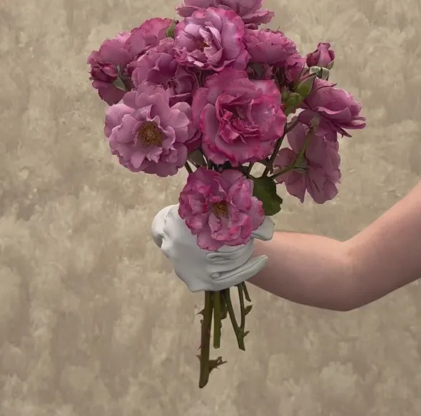 Heirloom Roses Angel Face Best