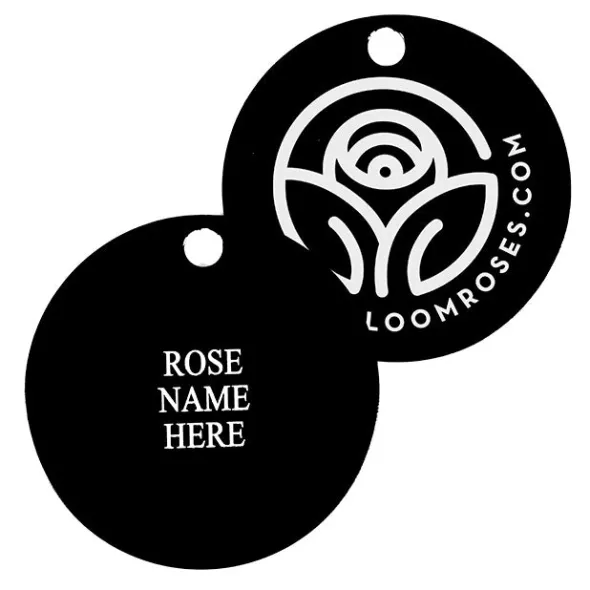 Heirloom Roses Anne Hathaway Tag Sale