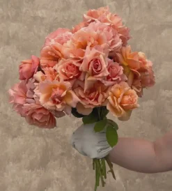 Heirloom Roses Apricot Candy™