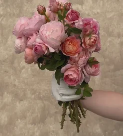 Heirloom Roses April Love™ Hot