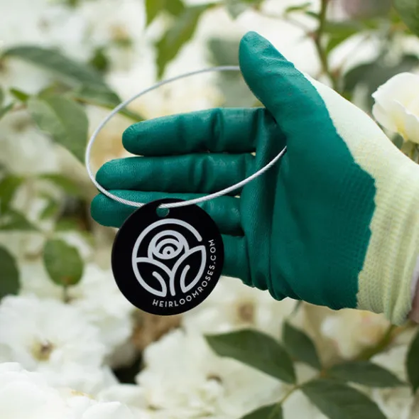 Heirloom Roses Awakening Tag