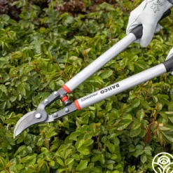 Heirloom Roses Bahco Superlight Orchard Lopper 24" Outlet