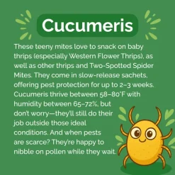 Heirloom Roses Beneficial Insect Subscription Online