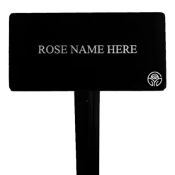 Heirloom Roses Black Ice Stake Online
