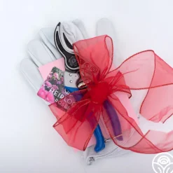 Heirloom Roses Bloom & Prune Gift Set Best