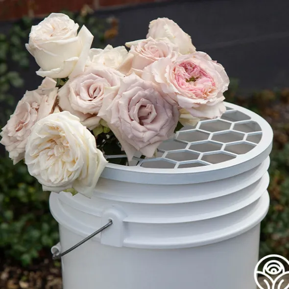 Heirloom Roses Bloomshield™ Hot