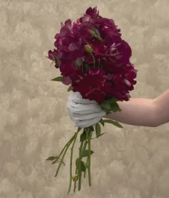 Heirloom Roses Burgundy Iceberg™ Best