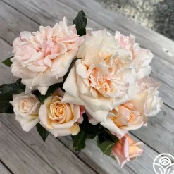 Heirloom Roses Caramel Kiss Outlet