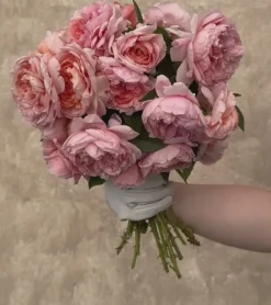 Heirloom Roses Colette® Outlet