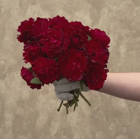 Heirloom Roses Dancing in the Dark™ Online