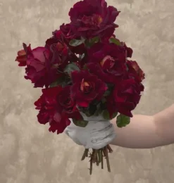 Heirloom Roses Dark Night™ Sale