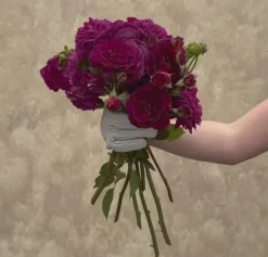 Heirloom Roses Ebb Tide™ Online