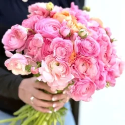 Heirloom Roses Elegance Pastello La Dolce Vita Mix Outlet