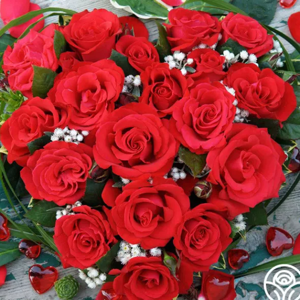 Heirloom Roses Eleganza® Grande Amore New