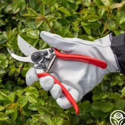 Heirloom Roses Felco 11 Improved Classic Pruning Shear Online