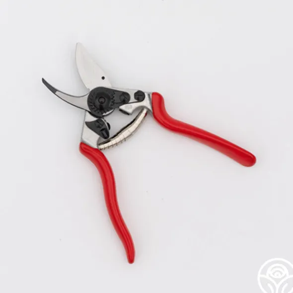 Heirloom Roses Felco 6 Pruners Best