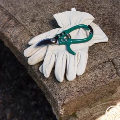 Heirloom Roses Flora Bypass Pruners Clearance