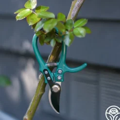 Heirloom Roses Flora Bypass Pruners Clearance