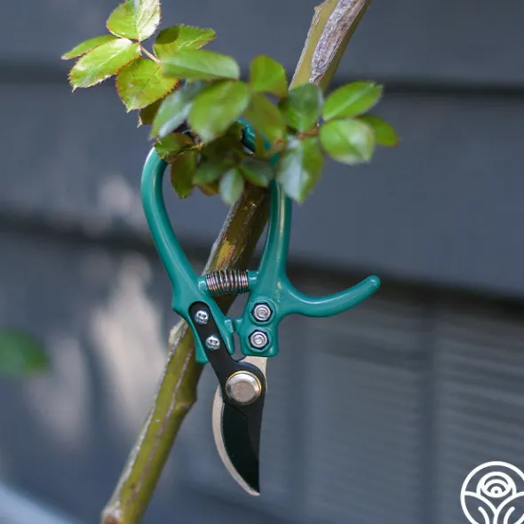 Heirloom Roses Flora Bypass Pruners Clearance
