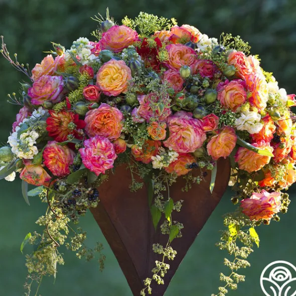 Heirloom Roses Garden Delight™