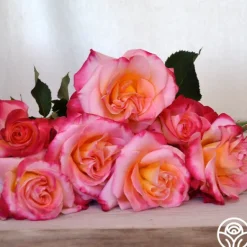 Heirloom Roses Granada Outlet
