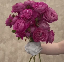Heirloom Roses Heirloom