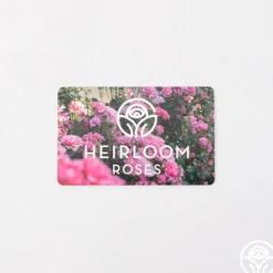 Heirloom Roses Gift Card (Tangible) Hot