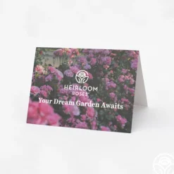 Heirloom Roses Gift Card (Tangible) Hot