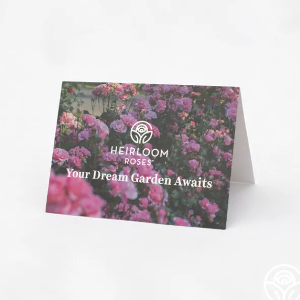 Heirloom Roses Gift Card (Tangible) Hot