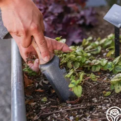 Heirloom Roses Hori Hori Knife Discount