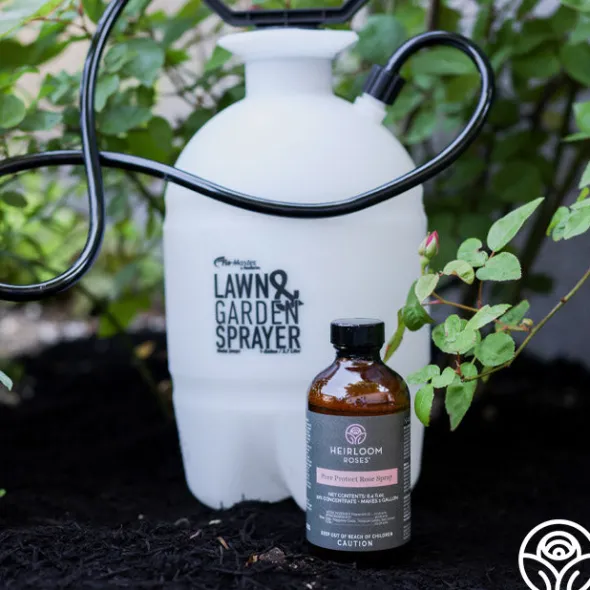 Heirloom Roses Hudson® RL FloMaster Sprayer Discount