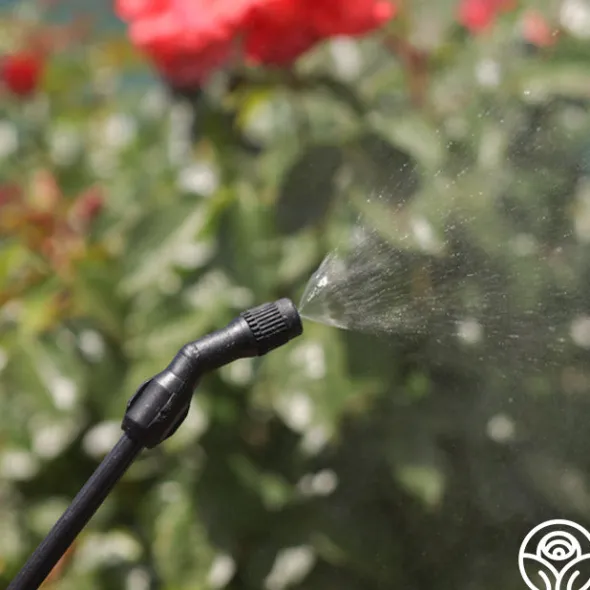 Heirloom Roses Hudson® RL FloMaster Sprayer Discount