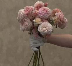 Heirloom Roses James Galway® Online