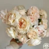 Heirloom Roses Joan Fontaine™ Best