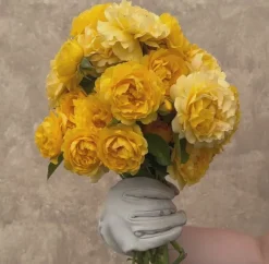 Heirloom Roses Julia Child™ Hot