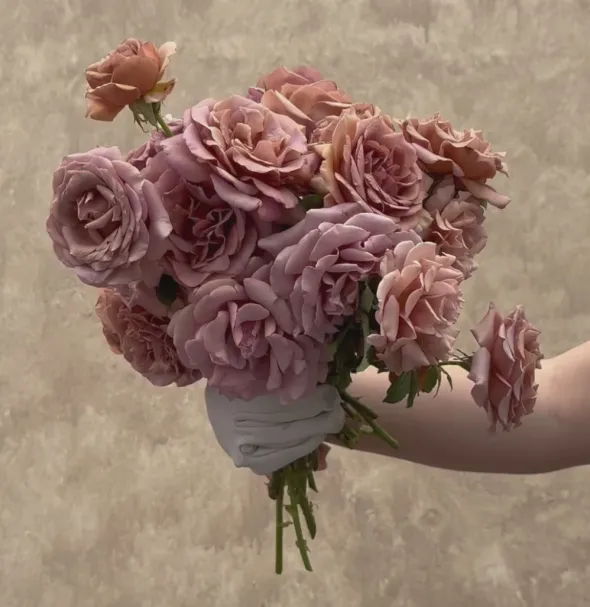 Heirloom Roses Koko Loko™ Best