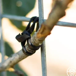 Heirloom Roses LoopLock Garden Ties Online