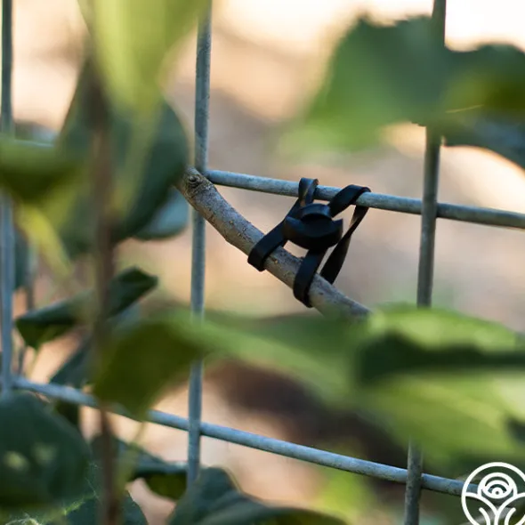 Heirloom Roses LoopLock Garden Ties Online