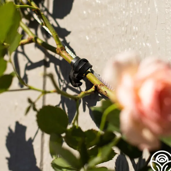 Heirloom Roses LoopLock Garden Ties Online
