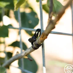 Heirloom Roses LoopLock Garden Ties Online
