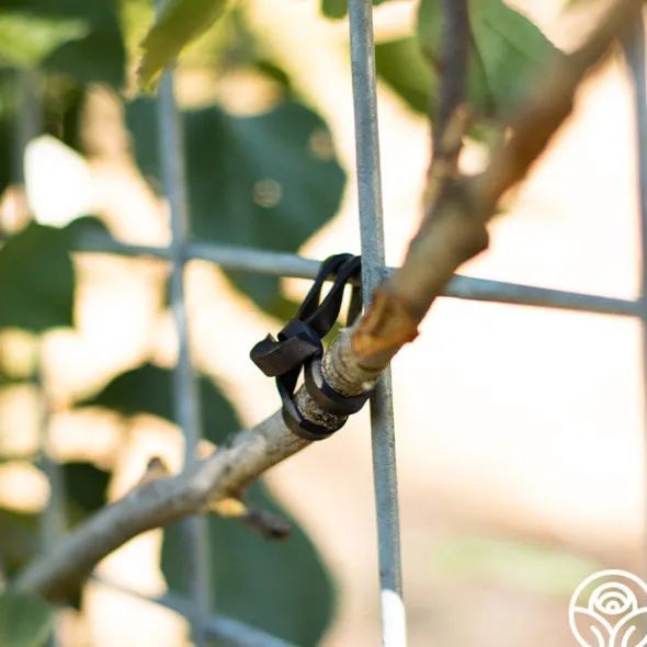 Heirloom Roses LoopLock Garden Ties Online
