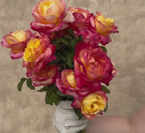 Heirloom Roses Love & Peace® Online