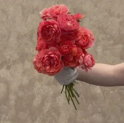 Heirloom Roses Matchless Mother™ Discount