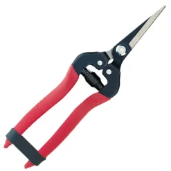 Heirloom Roses Needle Nose Straight Shear 7 Inch Pruners Online