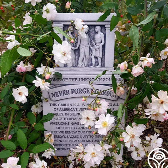 Heirloom Roses Never Forget Rose® Clearance