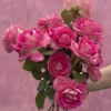 Heirloom Roses Painted Porcelain™ Clearance