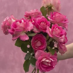 Heirloom Roses Painted Porcelain™ Clearance