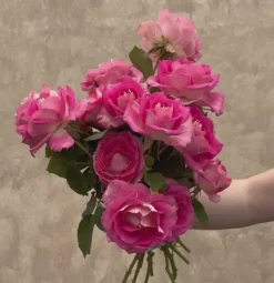 Heirloom Roses Painted Porcelain™ Clearance