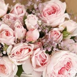 Heirloom Roses Parfuma® Bliss Clearance